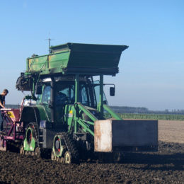 Tulpen planten Flevoland 2011