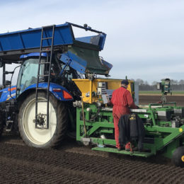 Lelies planten met rollenzeefplanter Drenthe 2018