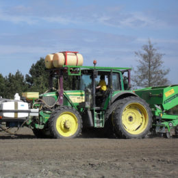 Aardappals poten met spuiten en granuleren met vloeibare mest