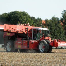 Aardappels rooien Dewulf RA3060 2009