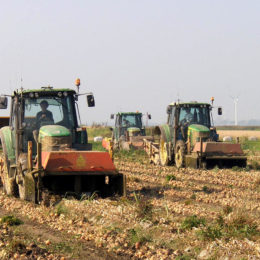 Uien rooien 1,50 2013