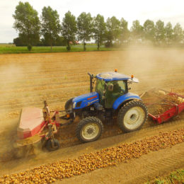 Uien rooien en klappen op 3 m