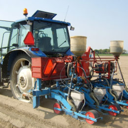 Wortelen zaaien 2018