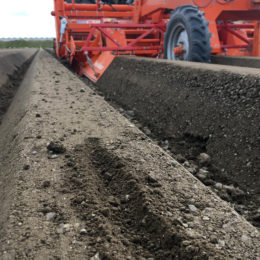 Wortelruggen trekken met twin-rotor frees