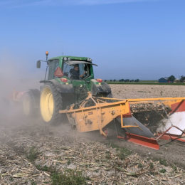 2,25 m uien rooien 2019