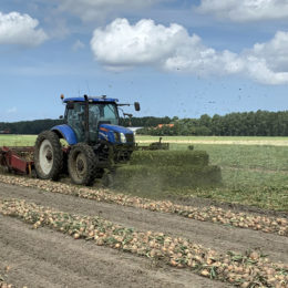 3 m plantuien rooien 2019