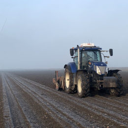 De enige mooie winterdag in 2019
