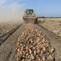 Eindresultaat 2,25 m