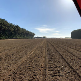 Finished the paddock