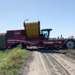 Oeps! weg gezakt, sept. 2019