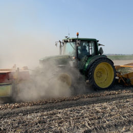 Plantuien rooien 2,25 m