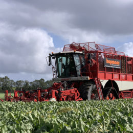 Suikerbieten rooien gestart aug. 2019