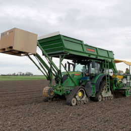 Tulpen planten 2,25 m Schagen nov. 2019