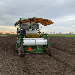 Tupen planten 2,25 m