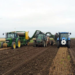 Omdat het kan. Tulpen rooien 1,80 Flevoland 2015