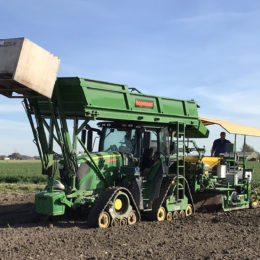 Tulpen planten 2,25 Dirkshorn 2018