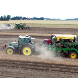 Tulpen rooien Flevoland 1,80 2019